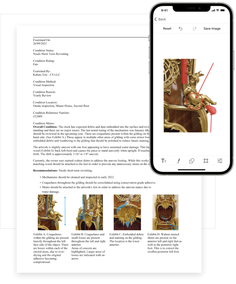 Collector Systems - collection management software displaying condition reports and on the iphone