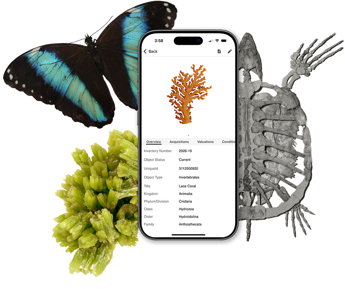 Collector Systems mobile app showing object details, displayed alongside biology, paleontology, and geology collection items.